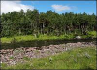 Bifogad bild: norge2010augusti090.jpg